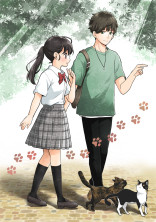 猫が導く恋しるべ