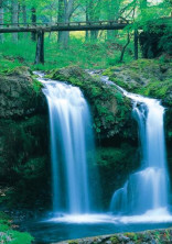 腹筋崩壊 の小説 夢小説検索結果 8件 無料ケータイ夢小説ならプリ小説 Bygmo