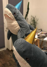 駄作者が卒業するまで、ゴロゴロする部屋。
