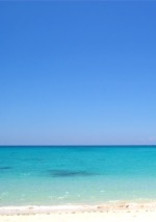 真夏の海、君と。