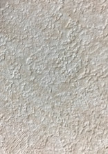 これは僕の問題…だったのに!?