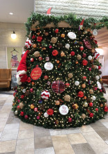 クリスマス前の贈り物