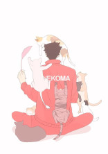 誰ですか、《黒尾鉄朗》
