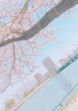 # __ 🌷 ☀️