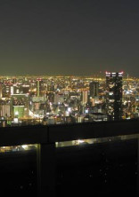 夜に駆ける