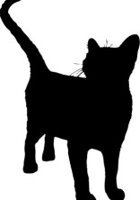ねぇ、このままいさせて