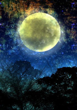 月夜の歌姫