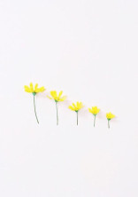 君に花を