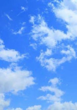 青空の下で 。