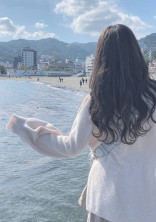 どりーむすとーりー。