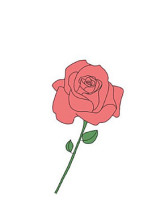 好きになったのは、妹の友達でした
