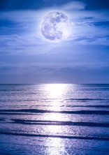 五条家 の小説 夢小説検索結果 25件 無料スマホ夢小説ならプリ小説 Bygmo 五条家 の小説 夢小説検索結果 25件 無料スマホ夢小説ならプリ小説 Bygmo