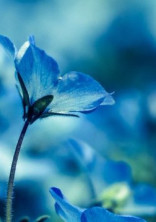 💙僕は陰キャじゃないよ?