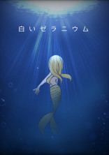 白いゼラニウム