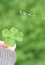クローバーの花言葉。