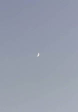 無料ケータイ夢小説ならプリ小説 Bygmo 会話で楽しむストーリー