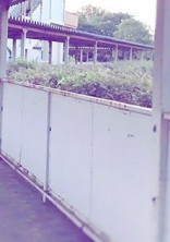 花の高校生活……!?