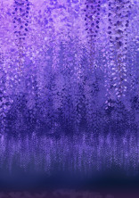 信じて 【鬼滅の刃】