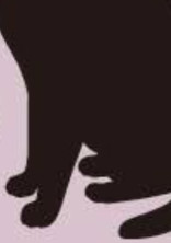 猫になってしまいました🐾