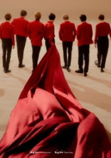 反韓な私がBTSのマネになる