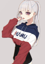 実況者にだって好きな人くらいいるもん!。表紙/はむねずこ様