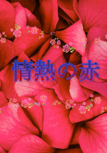 情熱の赤