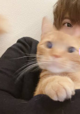 メンヘラ #すとぷり」の小説・夢小説検索結果(20件)|無料スマホ夢