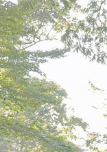 メンズ校に女の子がいました。