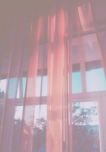 お色気担当声優は人気者 むめさんの小説 夢小説 無料ケータイ夢小説ならプリ小説 Bygmo