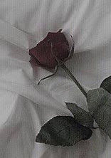 血 / red moon story _☽