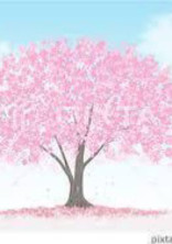 桜と甘いチョコレートのおまじない