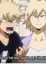 爆豪に姉が居たら