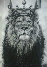 🦉🦁ふくおんのお城☄️👑