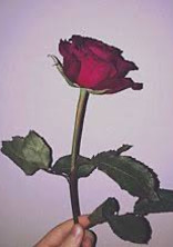 薔薇色の糸