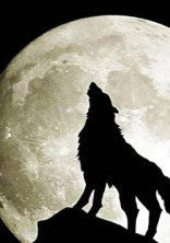 人狼ゲーム🐺