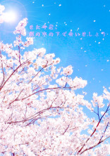 また今度、桜の木の下で会いましょう