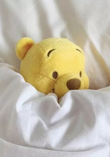 紅一点ちゃんのいんすたぐらむ