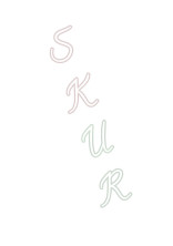 買ってしまったので ーSkUr #2