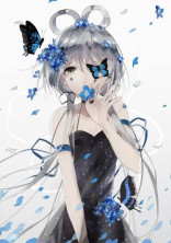 胡蝶姉妹 〜四人姉妹〜εïз。*