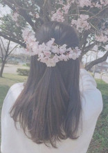 diary