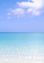 実況者の夏!🏖Summer🍧