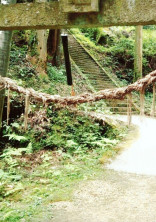 水鏡は騙せない〜男装審神者女子の奮闘記〜