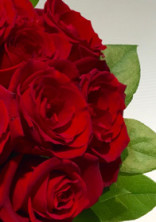 薔薇の意味。