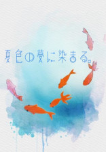 夏色の夢に染まる。(d!お察し短編集)