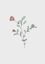 ネタ募集箱