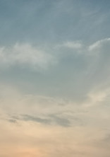マフィアは恋ができますか?