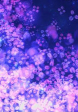 僕は花のように散る