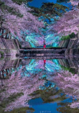 推しの隣。