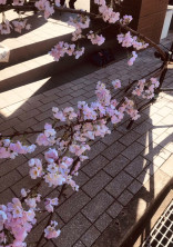 バイバイ、みんな。