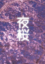 夜桜